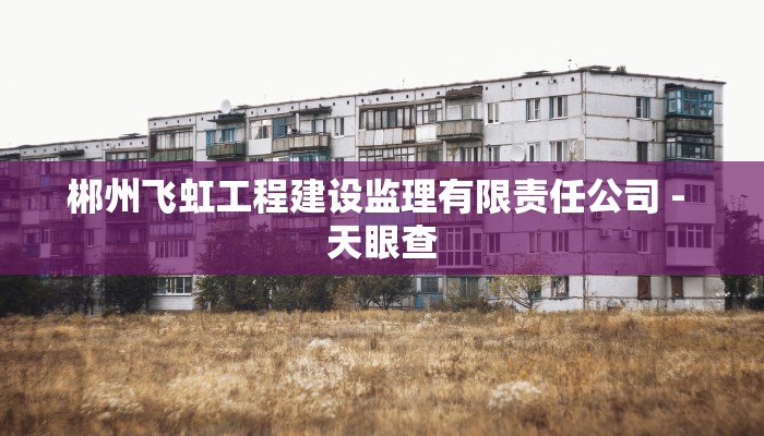 郴州飞虹工程建设监理有限责任公司 - 天眼查