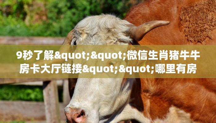 9秒了解""微信生肖猪牛牛房卡大厅链接""哪里有房卡!怎么充值