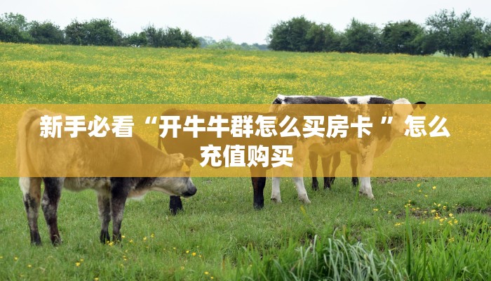 房卡教程经验""王者大厅链接金花房卡""怎么购买房卡‘获取大厅链接