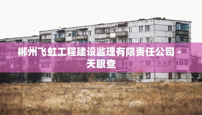 郴州飞虹工程建设监理有限责任公司 - 天眼查