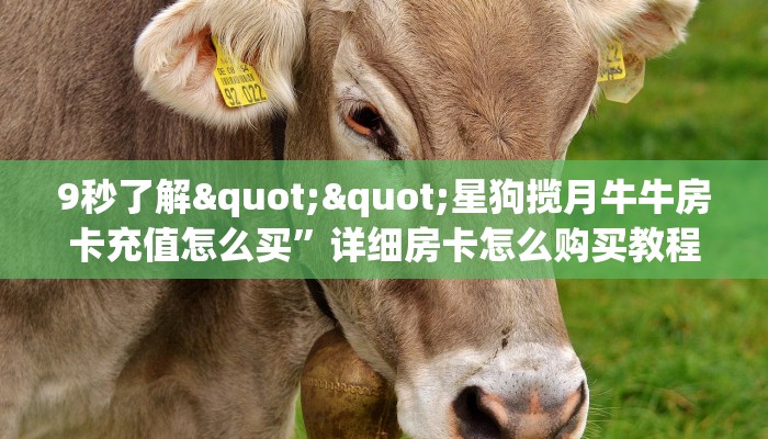 9秒了解""星狗揽月牛牛房卡充值怎么买”详细房卡怎么购买教程