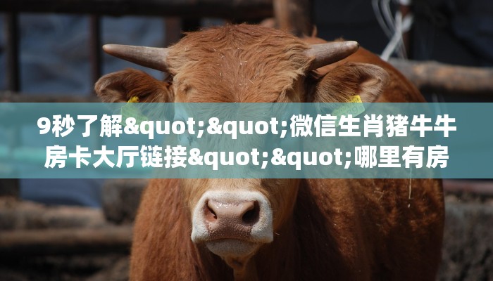 9秒了解""微信生肖猪牛牛房卡大厅链接""哪里有房卡!怎么充值
