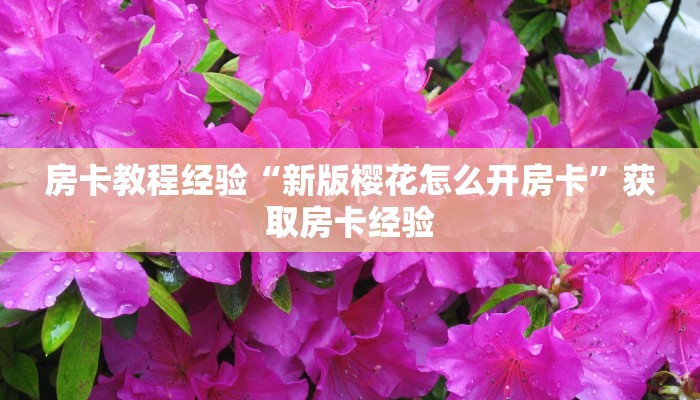 房卡教程经验“新版樱花怎么开房卡”获取房卡经验