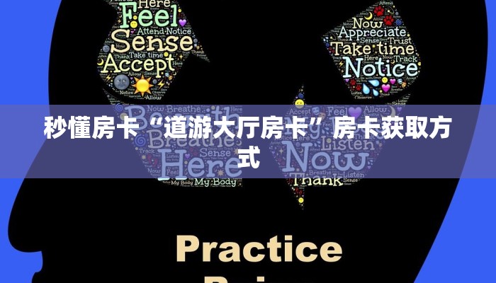 秒懂房卡“道游大厅房卡”房卡获取方式