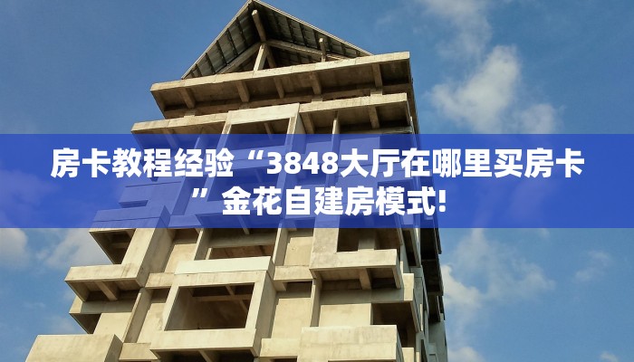 玩家必备教程""魔龙牛牛房卡充值""怎么购买房卡‘获取大厅链接