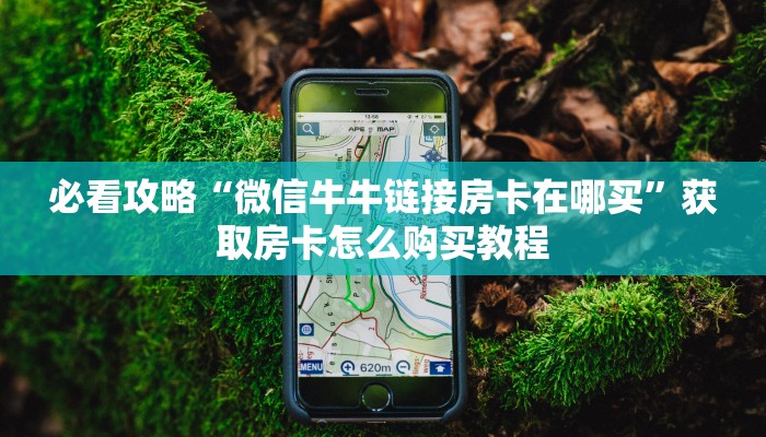 秒懂普及""蛮族金花房卡充值""购买渠道!房卡充值详细教程