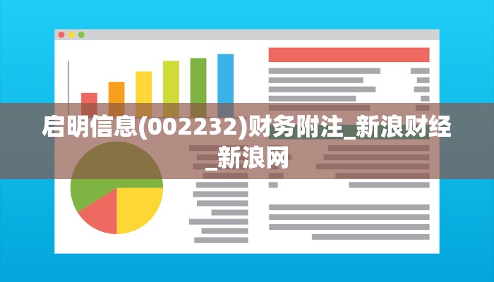 启明信息(002232)财务附注_新浪财经_新浪网