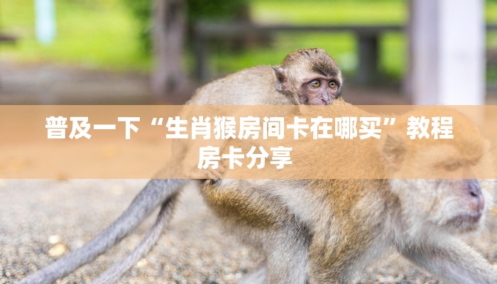 全攻略普及""东游牛牛房卡充值""购买联系方式"房卡充值教程