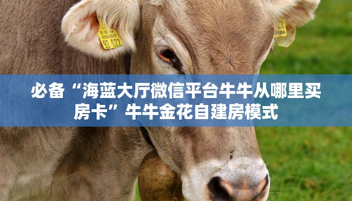 必备“海蓝大厅微信平台牛牛从哪里买房卡”牛牛金花自建房模式