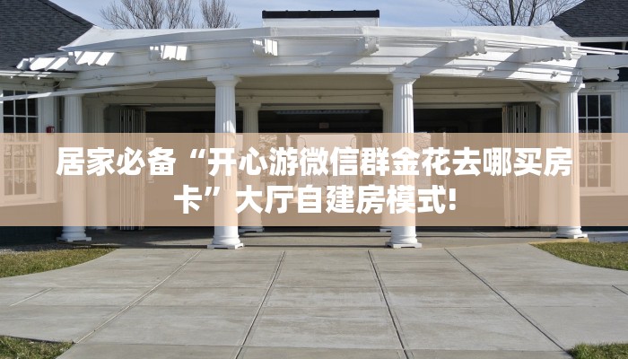 居家必备“开心游微信群金花去哪买房卡”大厅自建房模式!