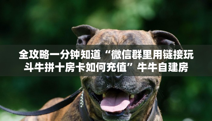 三秒盘点""悠悠众娱大厅房卡怎么弄/518互游大厅房卡""怎么买房卡