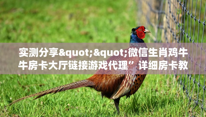 实测分享""微信生肖鸡牛牛房卡大厅链接游戏代理”详细房卡教程