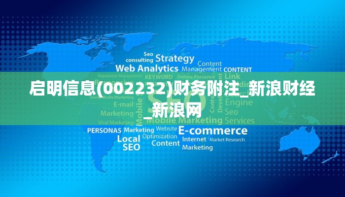 启明信息(002232)财务附注_新浪财经_新浪网