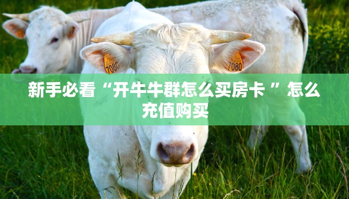 新手必看“开牛牛群怎么买房卡 ”怎么充值购买