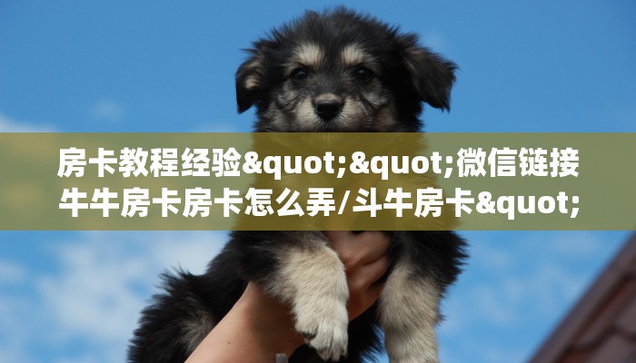 房卡教程经验""微信链接牛牛房卡房卡怎么弄/斗牛房卡""购买渠道!房