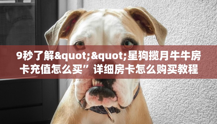 9秒了解""星狗揽月牛牛房卡充值怎么买”详细房卡怎么购买教程