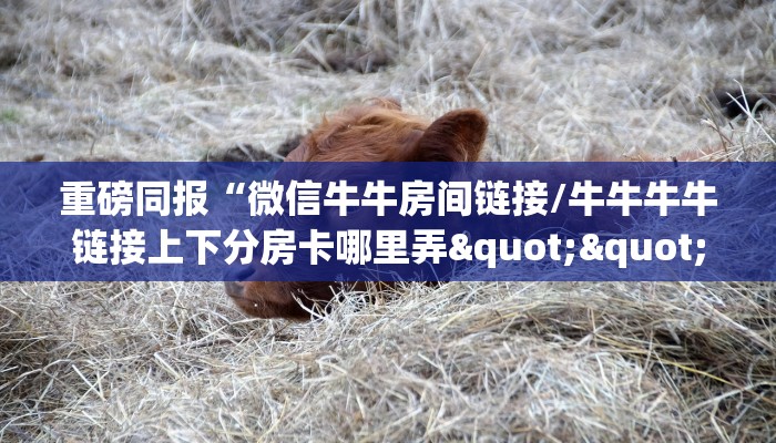 重磅同报“微信牛牛房间链接/牛牛牛牛链接上下分房卡哪里弄""购买